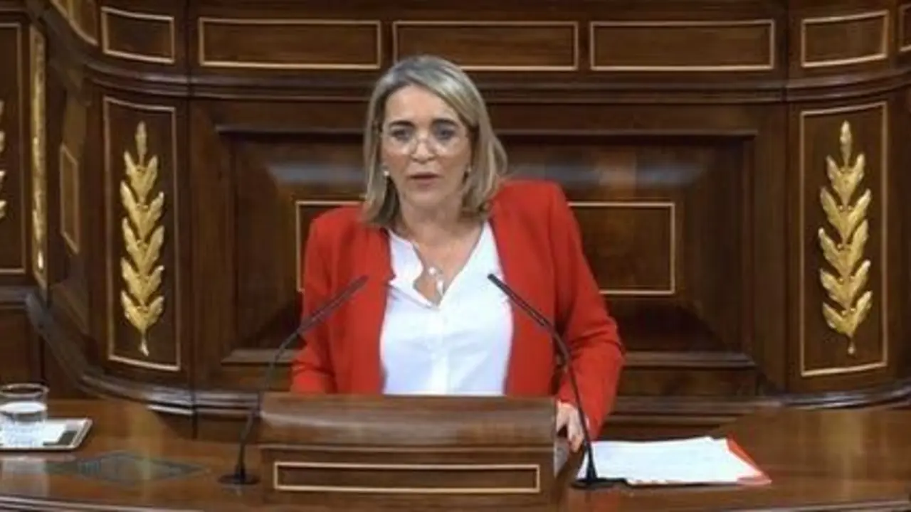 Pepa Gonz&aacute;lez Bayo. - VH