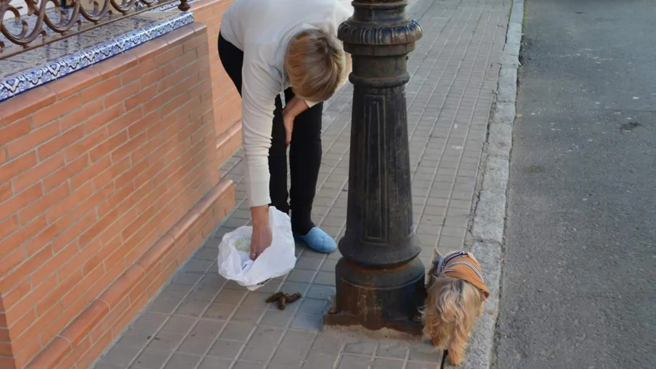 Mujer recogiendo la caca de su perro - F. Cabanillas