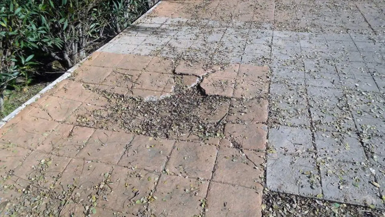Acerado de la zona de la avenida Costa de la Luz. - VH