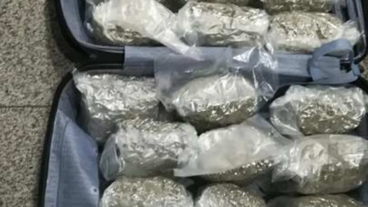 Droga intervenida en el aeropuerto de M&aacute;laga en una maleta. - vm