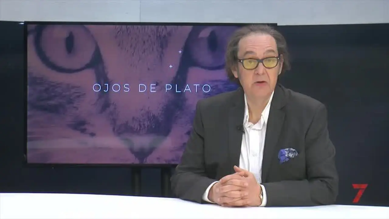 Ojos de plato. Carnaval ladrillero