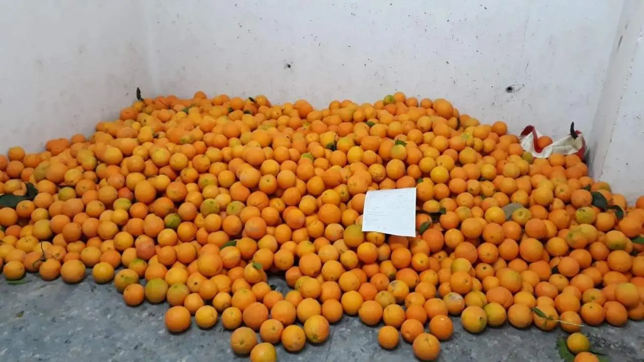 Naranjas intervenidas por la Polic&iacute;a Local de Huelva. - VH