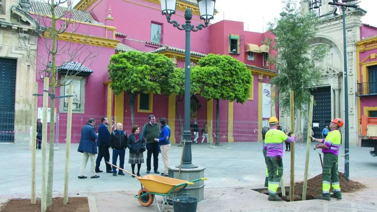 Una de las &uacute;ltimas plantaciones. - Ayto