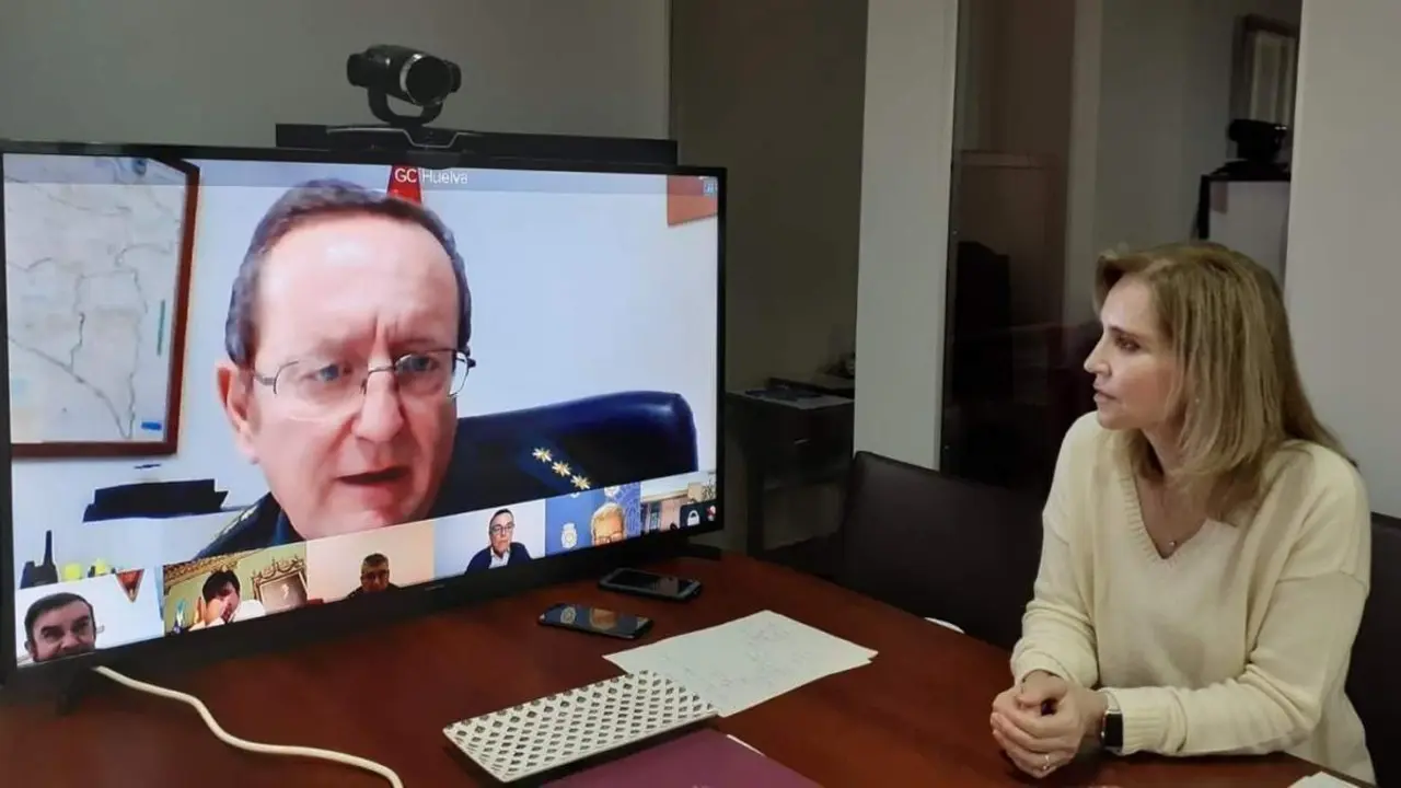 La subdelegada en videoconferencia. - VH