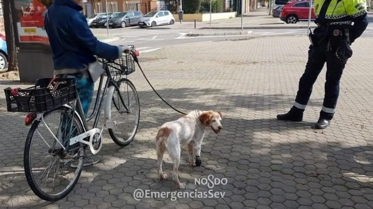 Una ciclista denunciada. - EMERGENCIAS