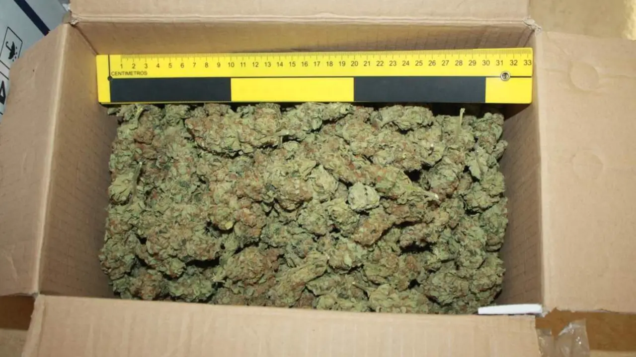 Marihuana intervenida en Nerja. - VM