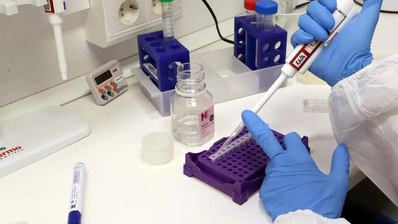 Apoyo a la investigaci&oacute;n - VM
