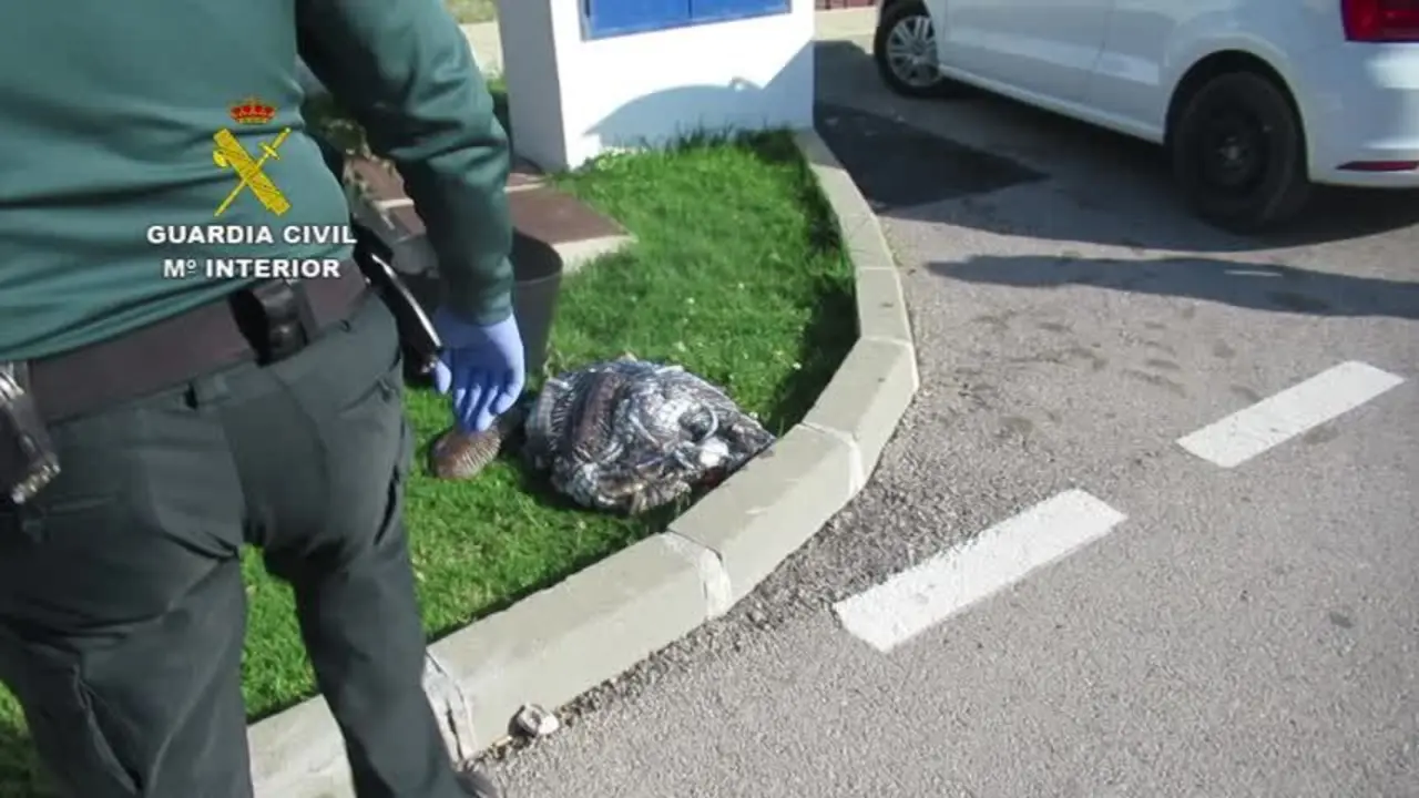 Denunciado por pesca submarina furtiva en el confinamiento en M&aacute;laga