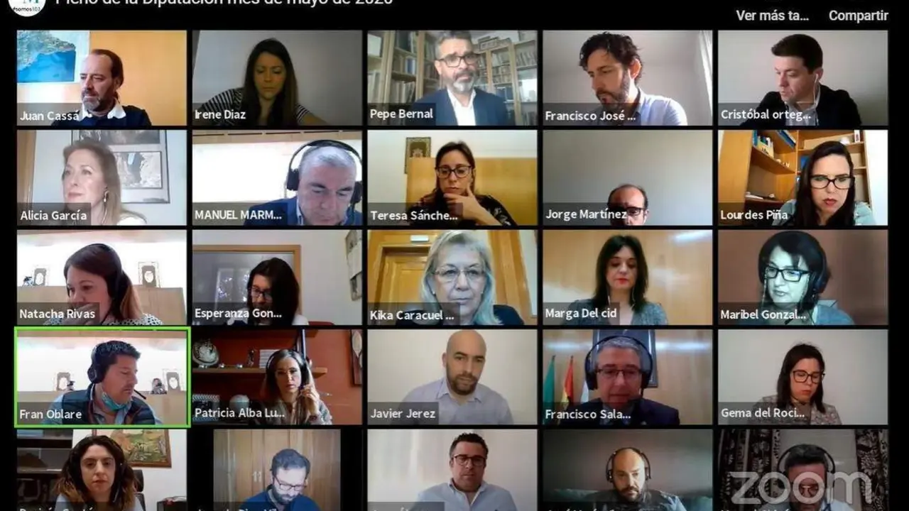 Pleno telem&aacute;tico y pol&eacute;mico. - Diputaci&oacute;n
