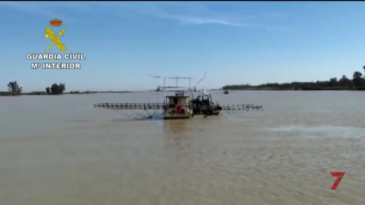 Nuevo golpe a las plataformas anguleras ilegales en el Guadalquivir
