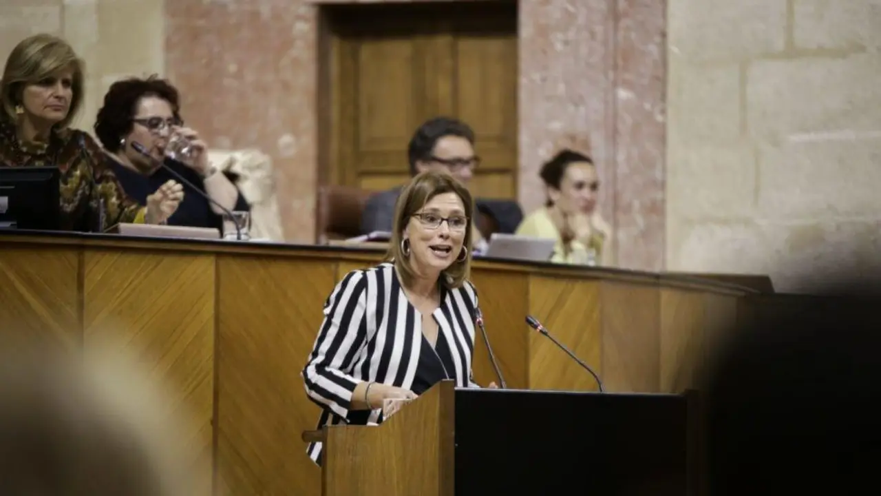 Mar S&aacute;nchez. - Europa Press