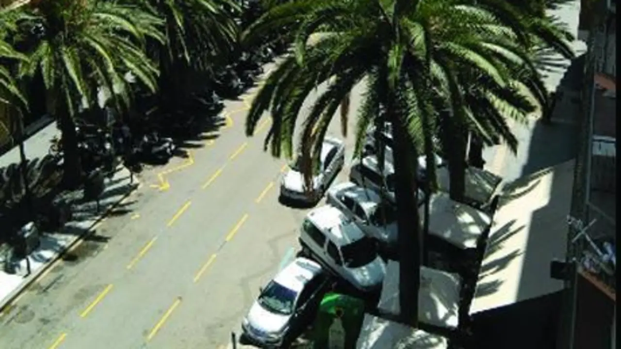 Alameda de Col&oacute;n. - VM