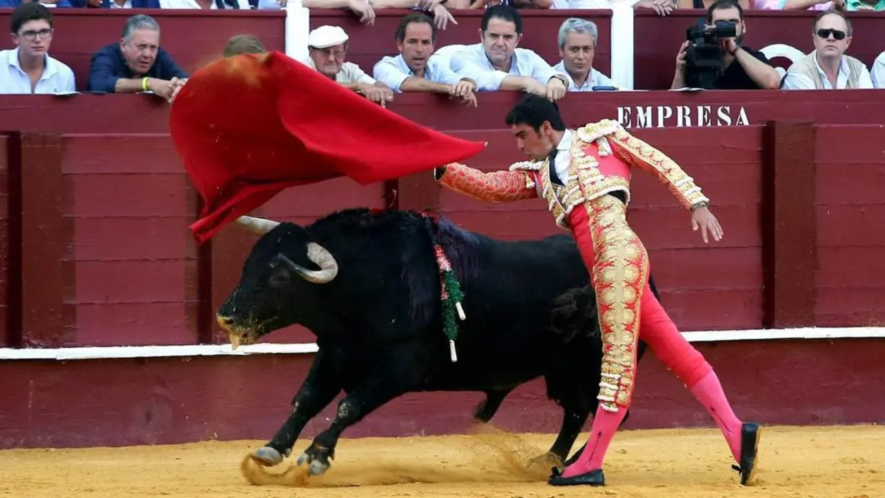 Miguel &Aacute;ngel Perera en M&aacute;laga en 2019. - EFE/Daniel P&eacute;rez