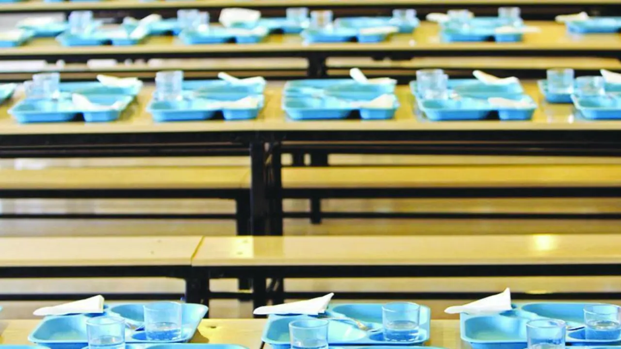 Los padres exigen comedores escolares con cocinas &lsquo;in situ&rsquo; y no &lsquo;comederos&rsquo;. - EFE