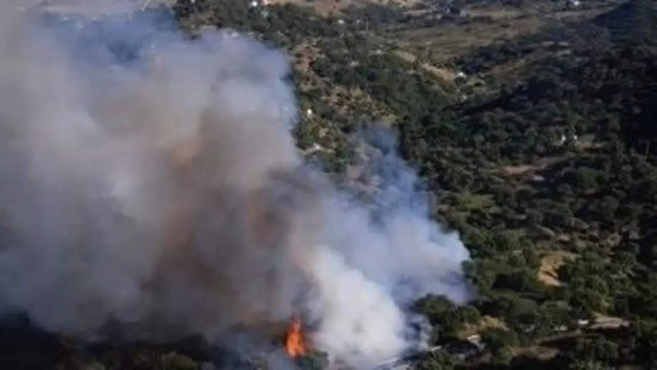 Informa forestal en Casares. - Plan Infoca