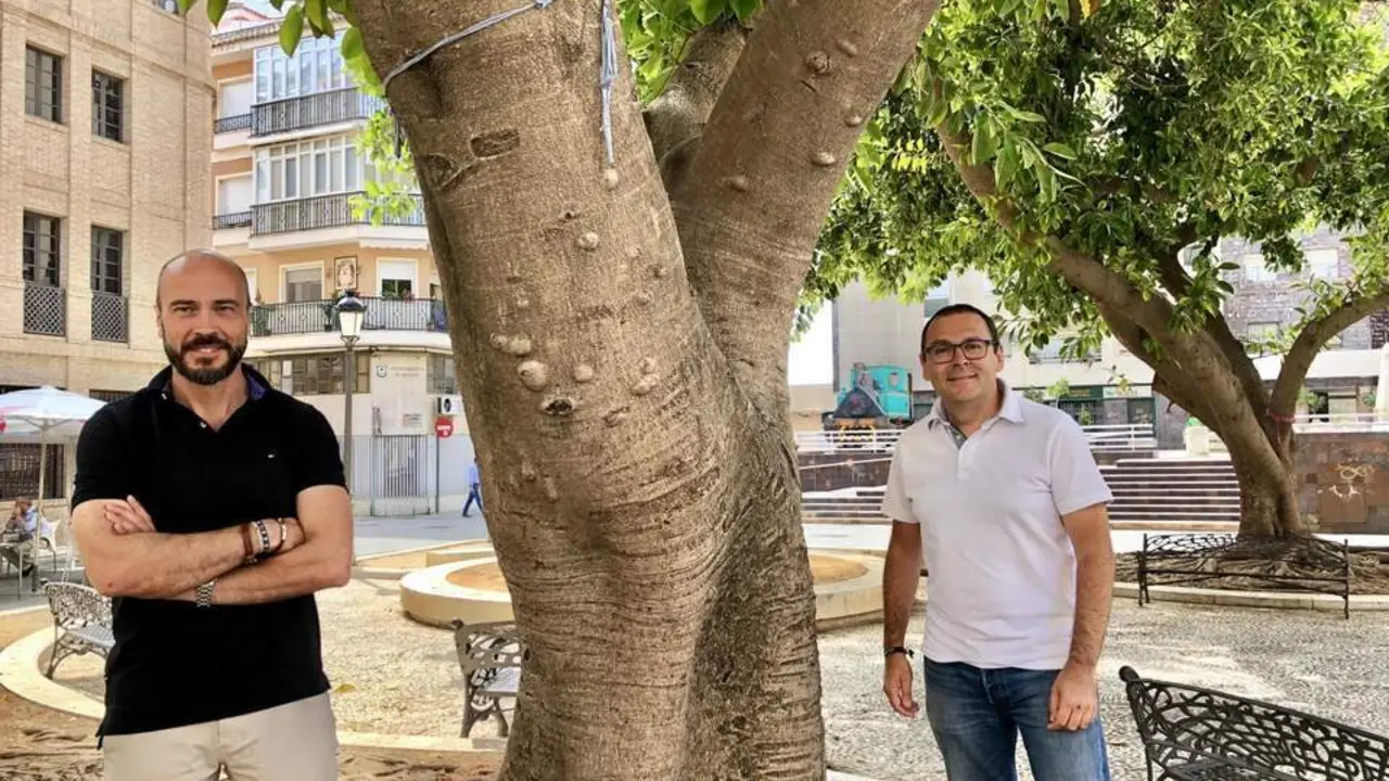 Concejales de MRH en el ficus de la plaza Ni&ntilde;a. - VH