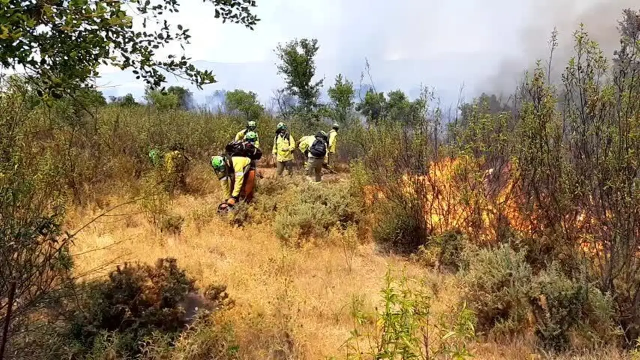 Controlado el incendio forestal en un paraje de Cabezas Rubias