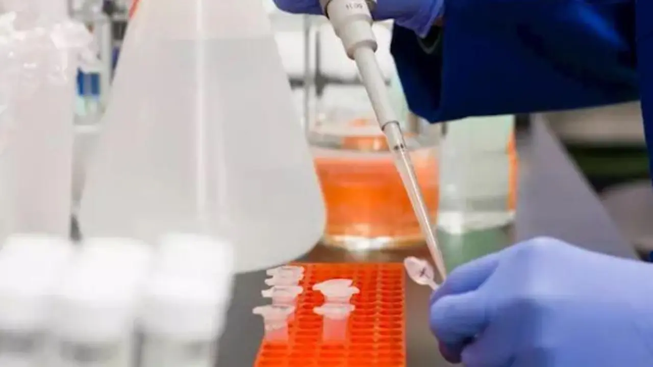Trabajo en Laboratorio. - Archivo