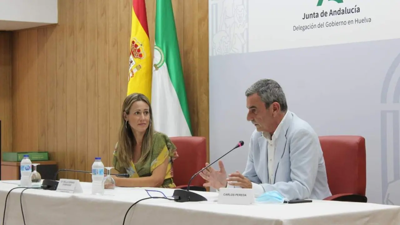 Presentaci&oacute;n del Plan de Contingencia. - VH