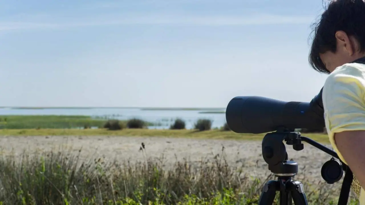 Visita a Do&ntilde;ana. - VH