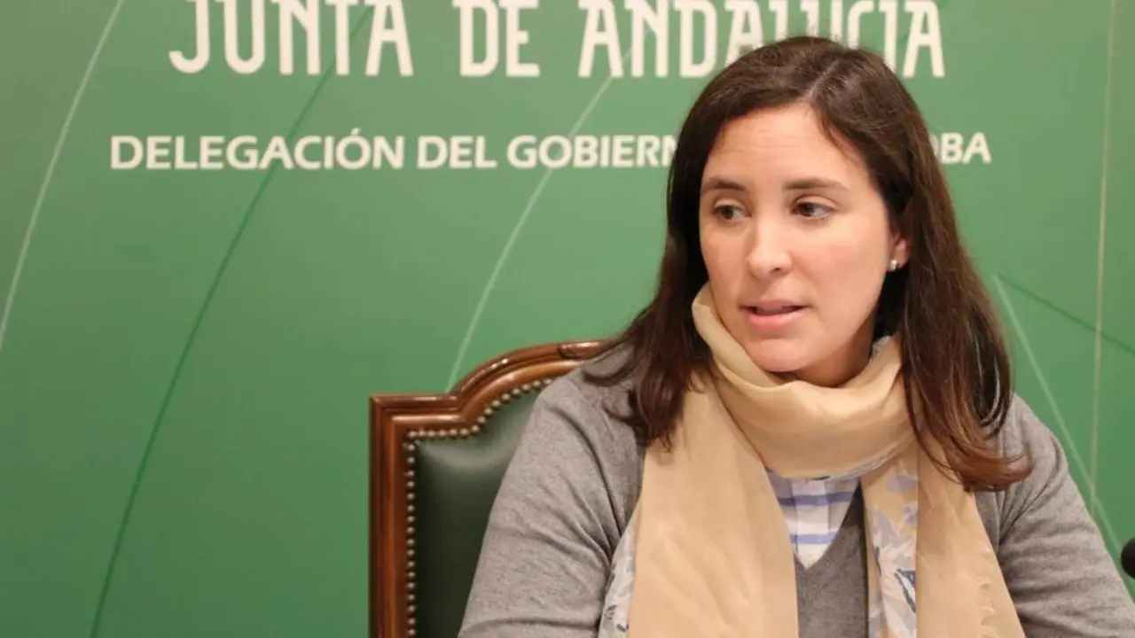 La delegada de Fomento, Infraestructuras, Ordenaci&oacute;n del Territorio, Cultura y Patrimonio Hist&oacute;rico de la Junta, Cristina Casanueva - Junta de Andaluc&iacute;a