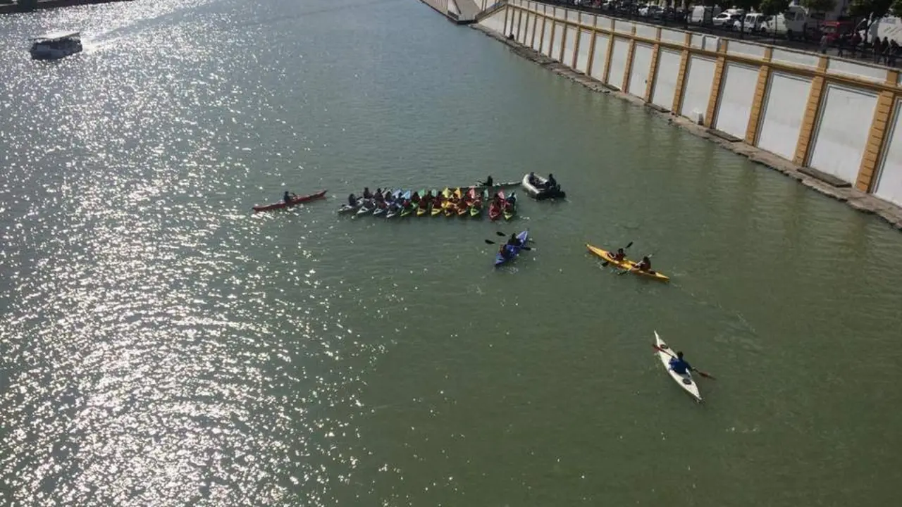 Las pirag&uuml;as llenan el Guadalquivir, que sigue sin playa en Sevilla. - Archivo