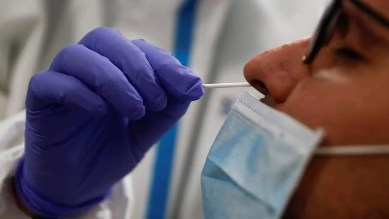 Test de coronavirus. - Efe