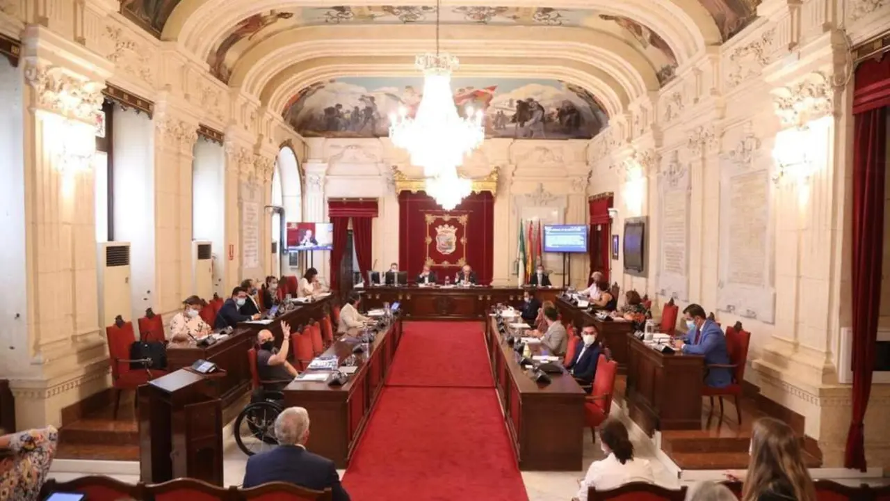 Pleno de julio. - Ayto. M&aacute;laga