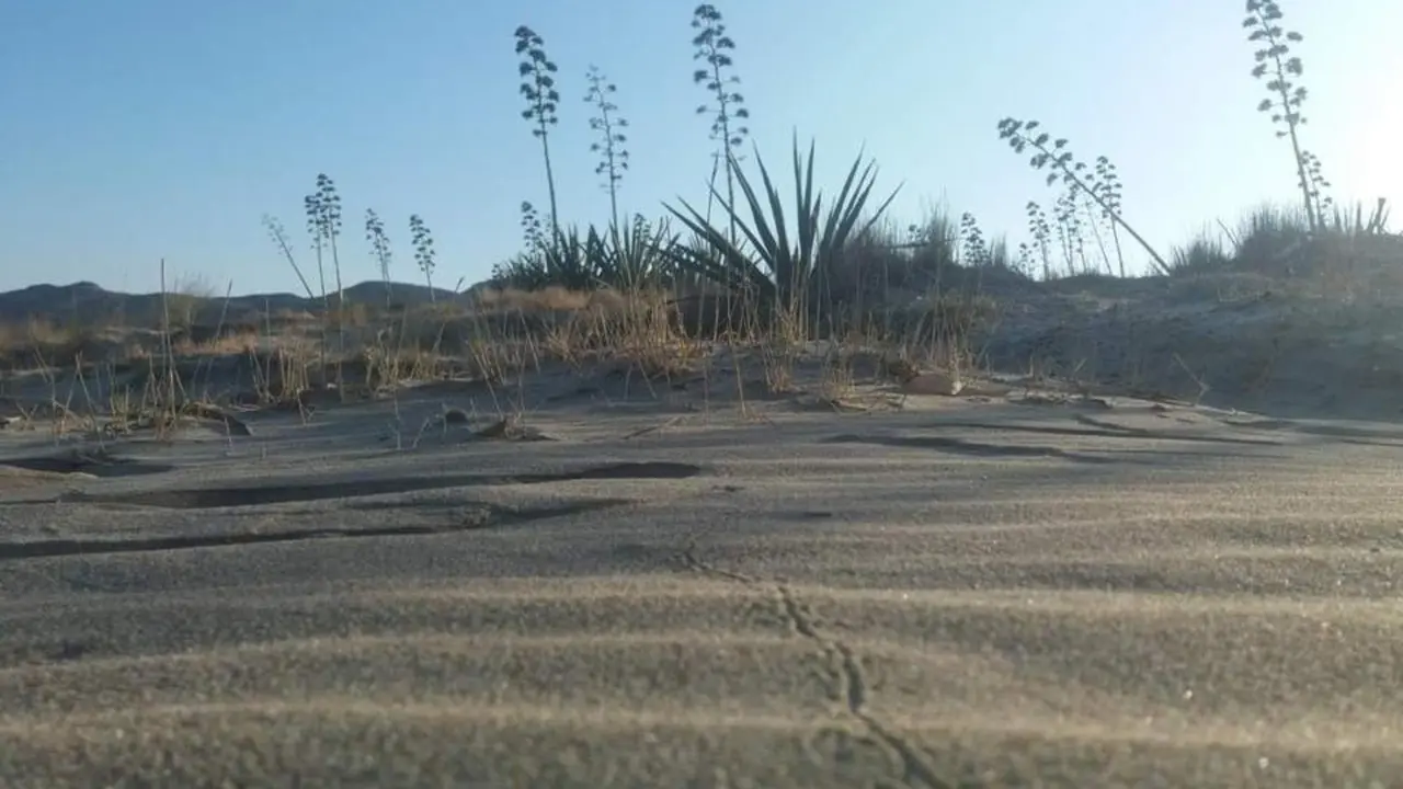 Paisaje del parque natural de Cabo de Gata. - ep