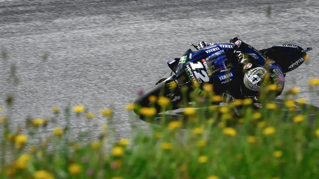maverick vi&ntilde;ales. - efe