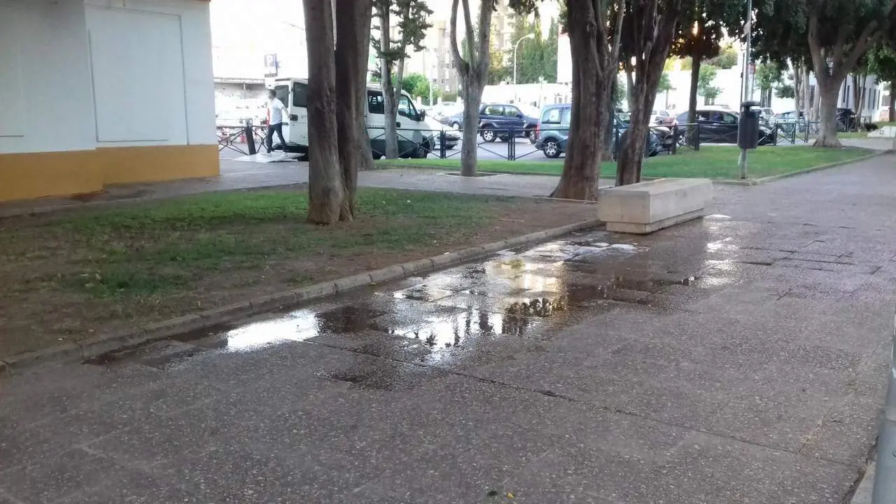 Una imagen del lugar en el que se produjeron los hechos.  - Andaluc&iacute;a Informaci&oacute;n
