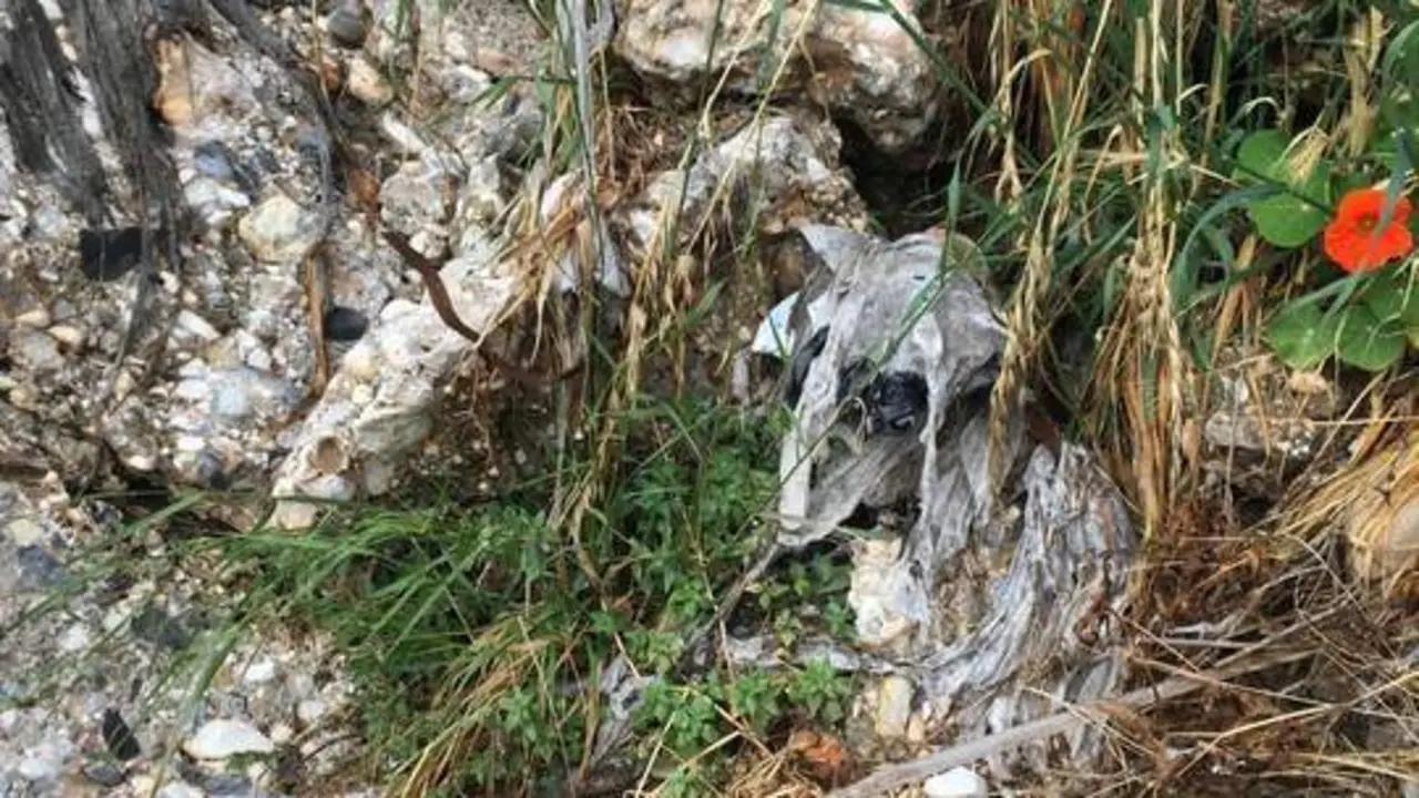 Residuos de vertidos en Nerja (Archivo). - Ecologistas en Acci&oacute;n