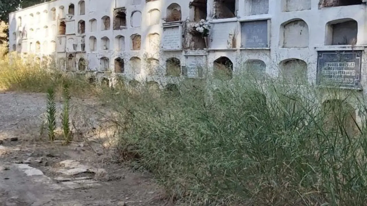 Uno de los conjuntos del cementerio de San Fernando en evidente estado de desuso. - Archivo