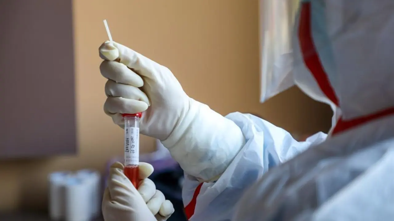 Coronavirus. - EFE