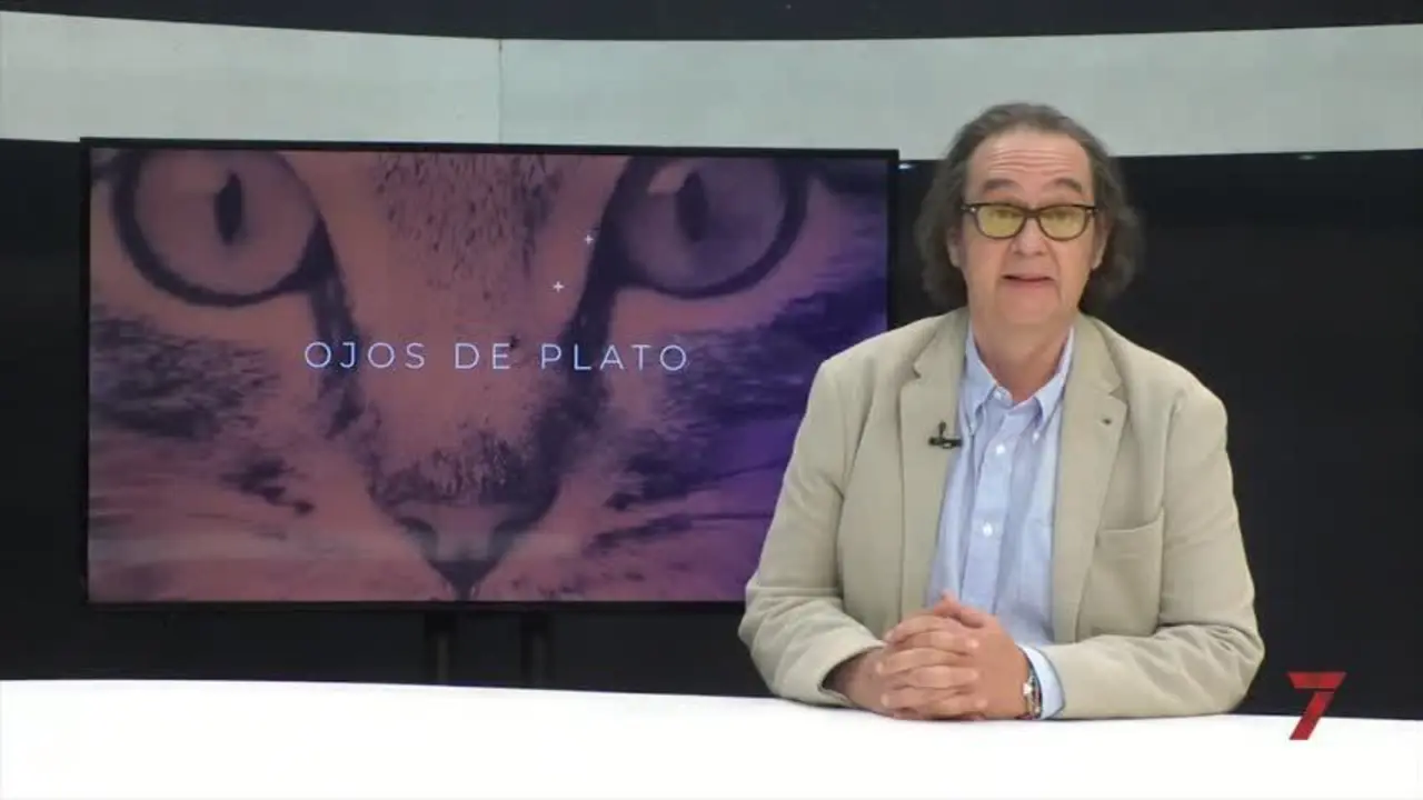 Ojos de plato. Consejo del Espiritusanto