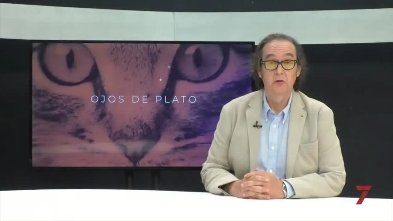 Ojos de plato. Democracia casera