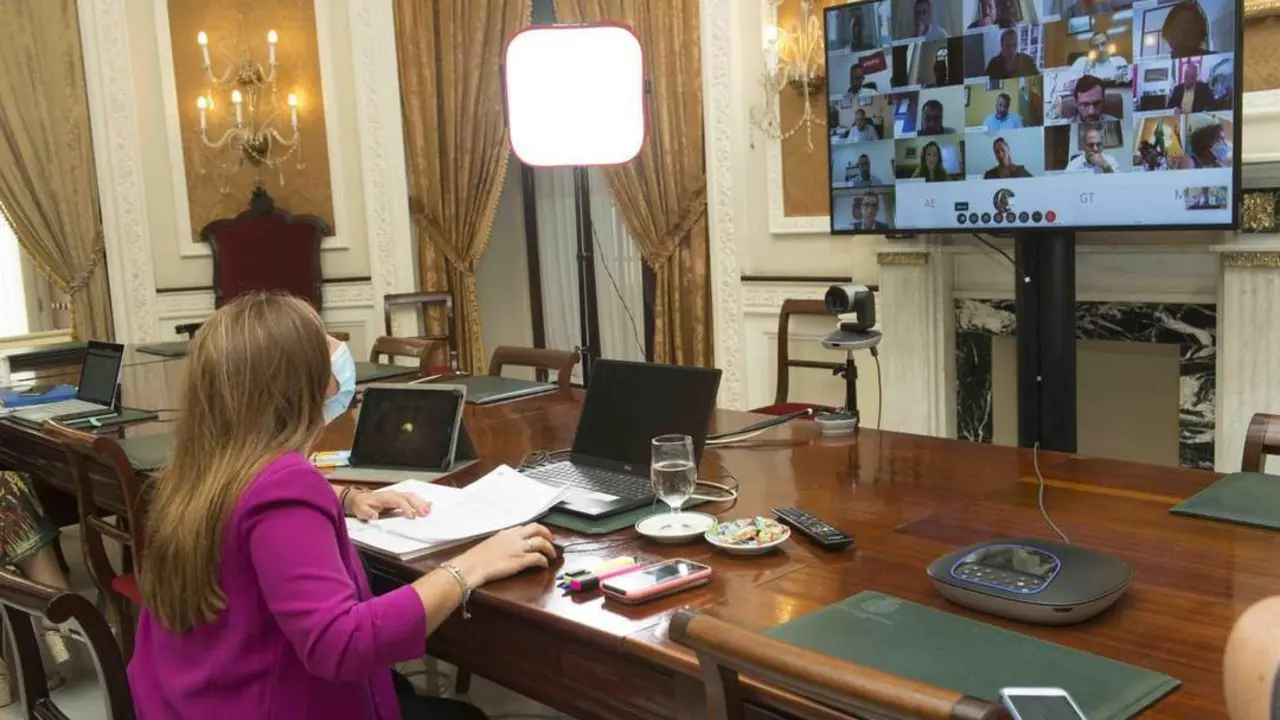 Imagen de archivo de Irene Grc&iacute;a presidiendo el pleno ordinario Diputaci&oacute;n de manera telem&aacute;tica - 