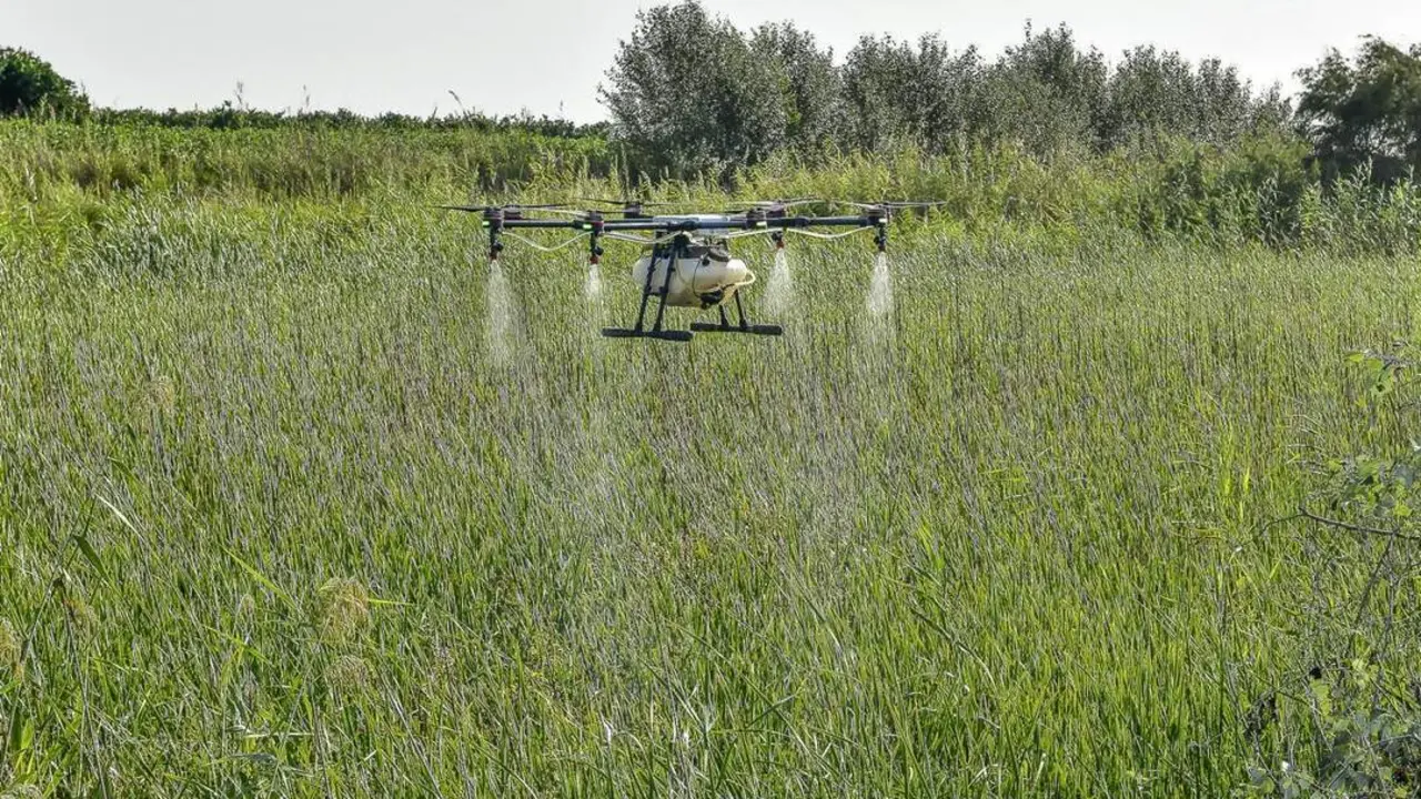 La Junta supervisa la fumigaci&oacute;n con drones para frenar el mosquito del Nilo