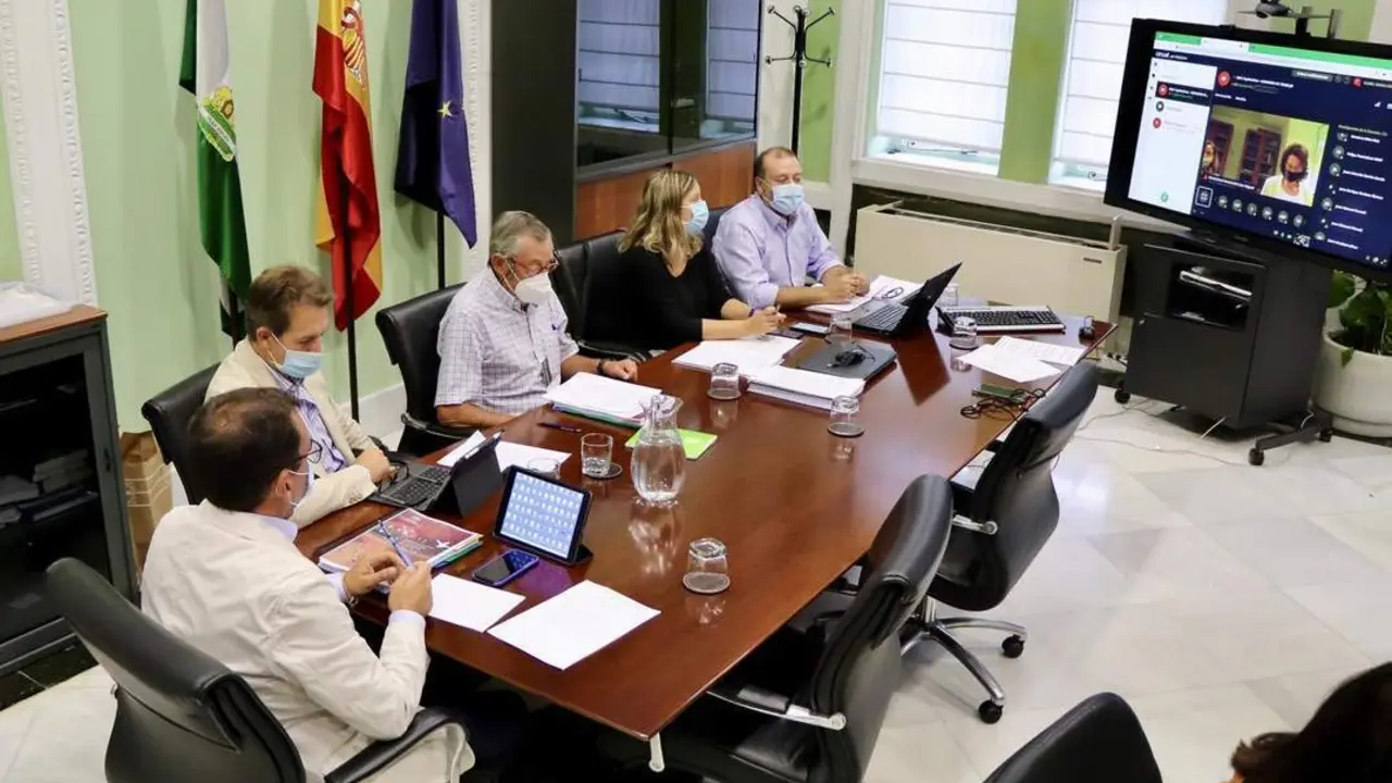 Consejo de Participaci&oacute;n de Do&ntilde;ana telem&aacute;tico. - VH