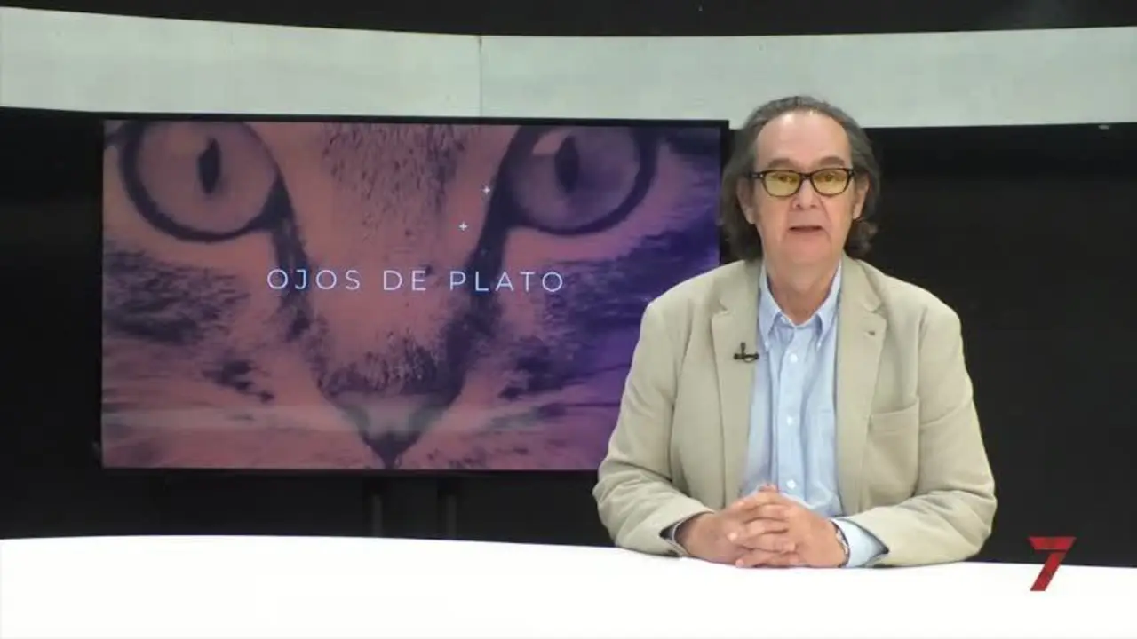 Ojos de plato. Necesitamos luces