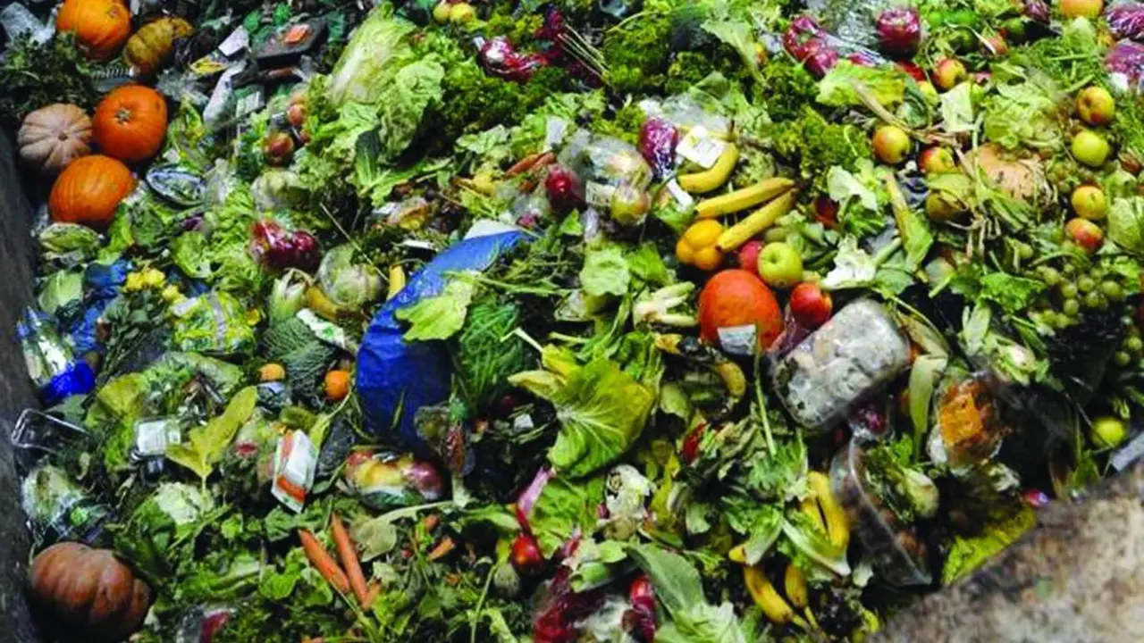 Imagen de desechos alimentarios, &aacute;rea en la que se trata de concienciar a los m&aacute;s peque&ntilde;os para tratar de reducir su cantidad en los hogares. - VM