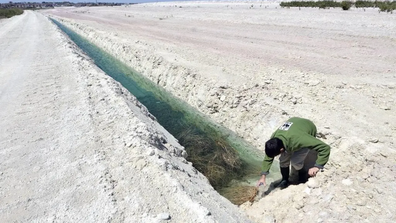WWF en los fosfoyesos. - Europa Press