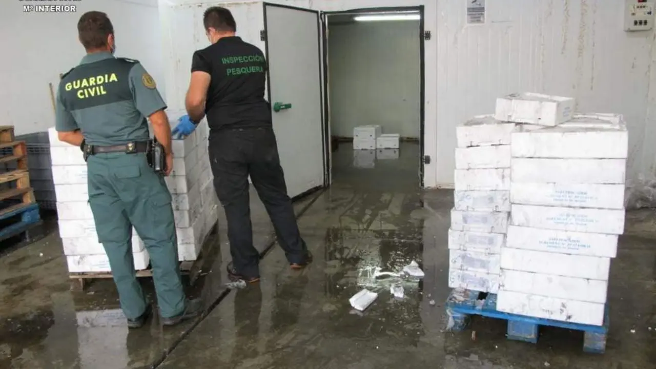 Pescado intervenido en la nave. - VH