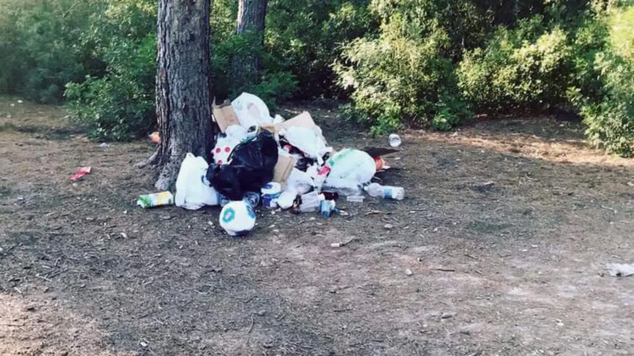 Restos de basuras en el parque de Las Aguilillas, en Estella.  - Facebook