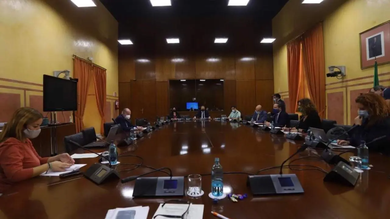 Villalobos en el Parlamento de Andaluc&iacute;a.  - EP