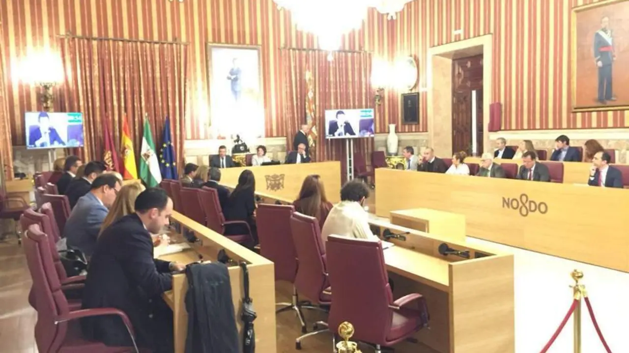 Pleno Ayuntamiento de Sevilla. - SSV