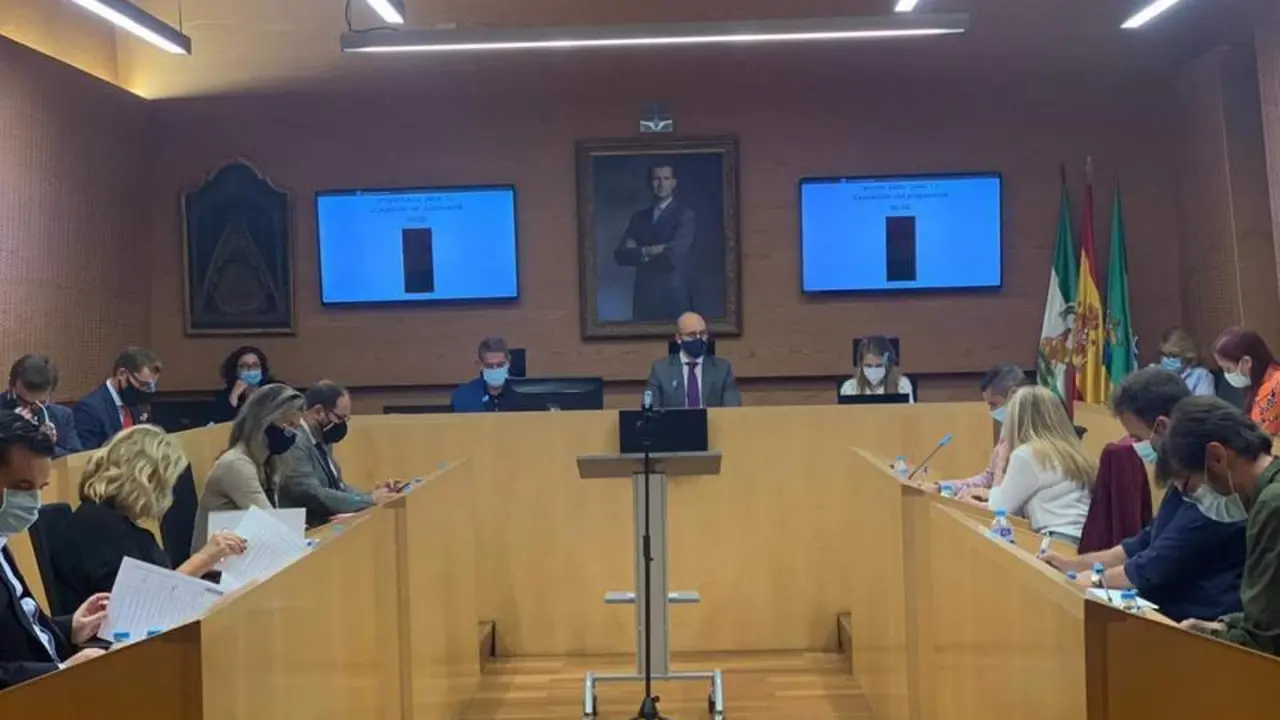 Pleno del Ayuntamiento de El Puerto. - Viva