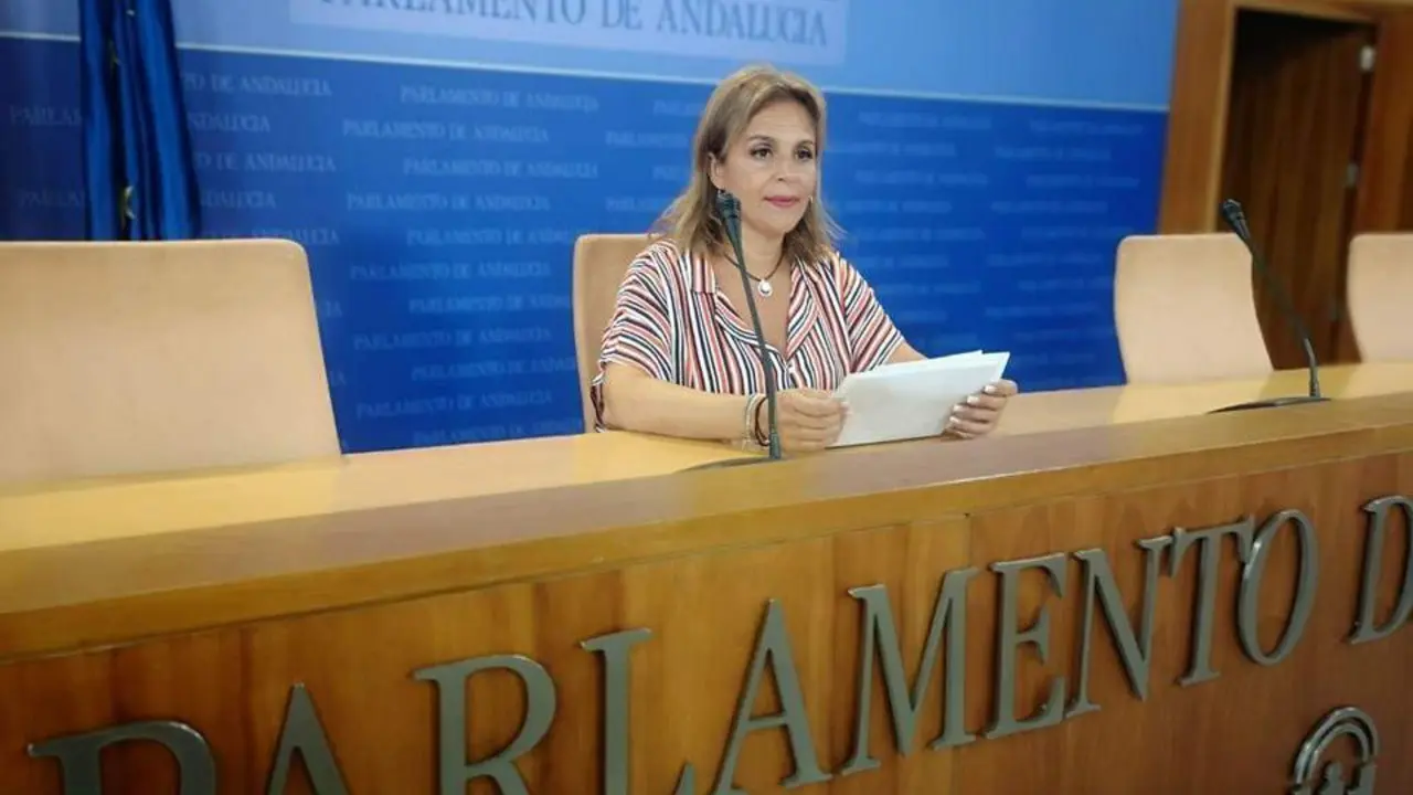 La parlamentaria Mar&iacute;a Gracia Gonz&aacute;lez. - VH