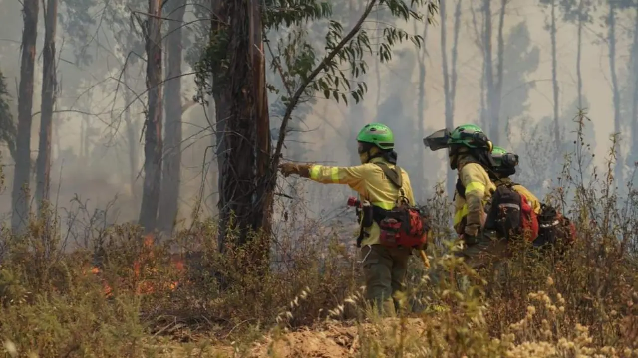 Incendio de Almonaster. - EFE