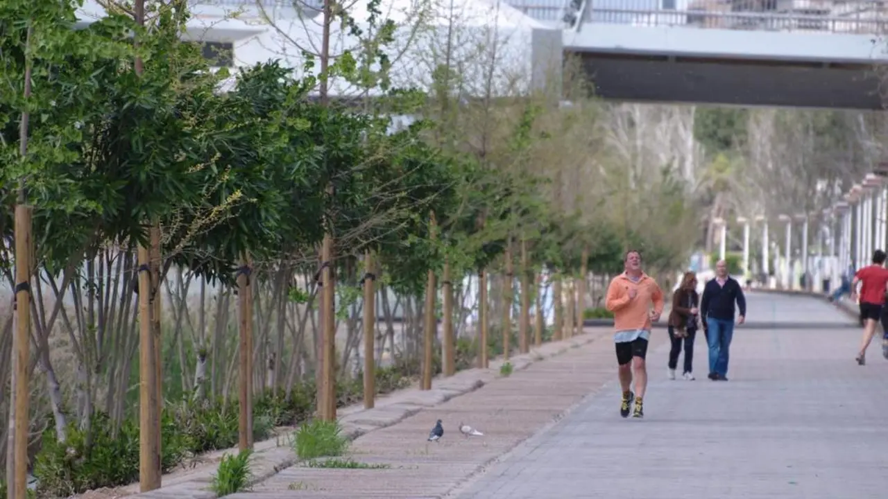 Paseo Juan Carlos I - Lavado